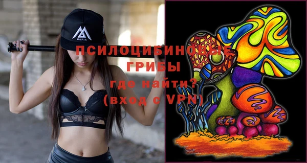 мяу мяу мука Арсеньев