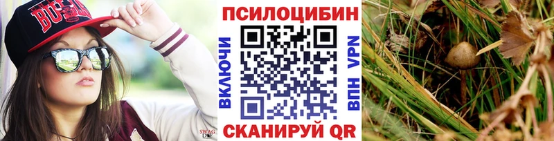 Купить закладки  Чаплыгин  Галлюциногенные грибы Magic Shrooms 