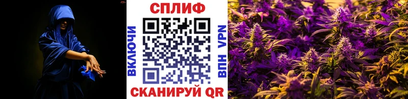 Каннабис тримм Купить где Чаплыгин